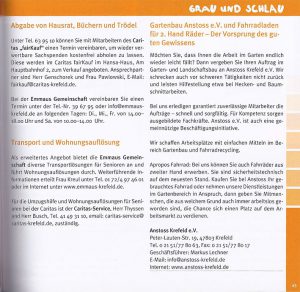 Read more about the article Grau und schlau 2013